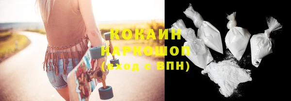 трава Няндома
