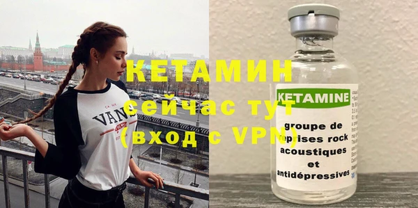 трава Няндома