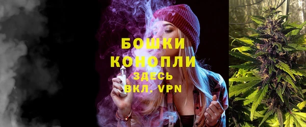 трава Няндома