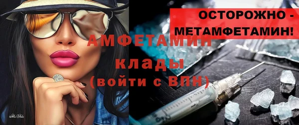трава Няндома