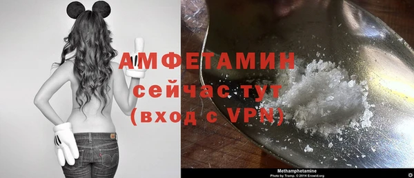 трава Няндома