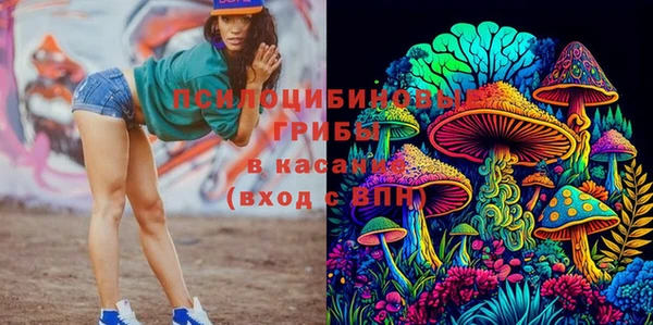 мяу мяу мука Нягань