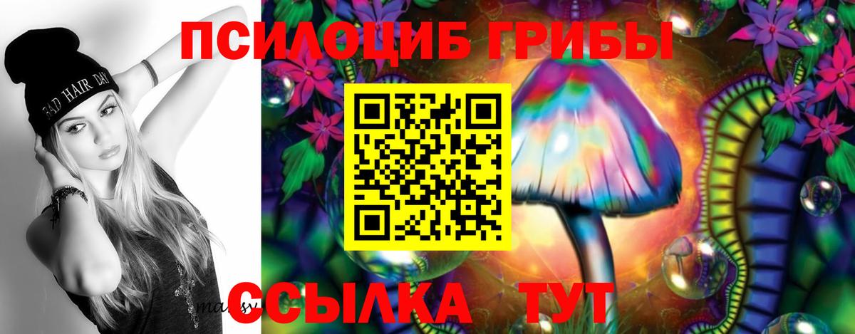 Галлюциногенные грибы Cubensis  купить закладку  Белебей  Вход с VPN 